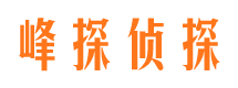 江岸小三调查